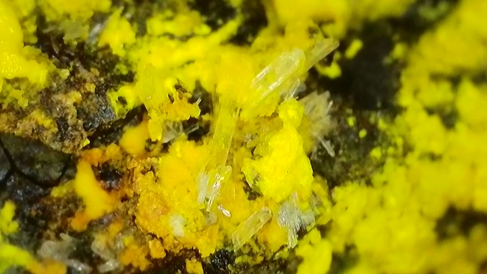 Thumbnail: 🔥 1.2 Million Mi Vida Mine Gorgeous Uraninite with Bright Yellow UV Crystals