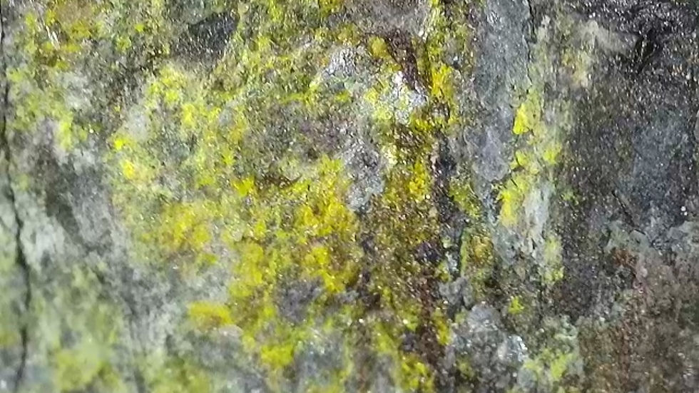 Thumbnail: Andersonite, Natrozippeite, "Peacock Ore", Pyrite from UTAH