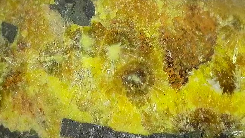 Thumbnail: Crystallized Uraninite with Uranophane with Minor Curite