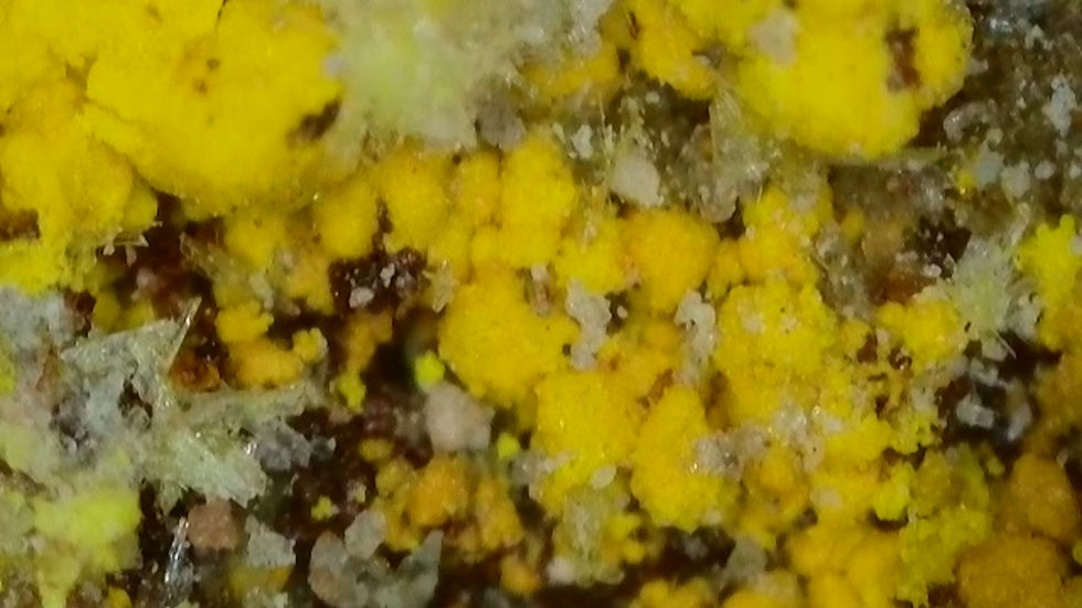 Thumbnail: 🔥 1.2 Million Mi Vida Mine Gorgeous Uraninite with Bright Yellow UV Crystals