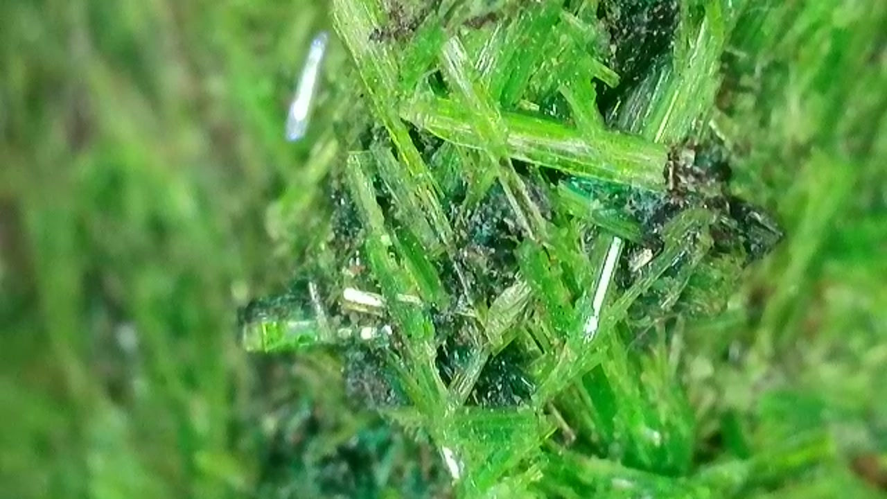 675k Well-Crystallized Cuprosklodowskite from Musonoi Mine