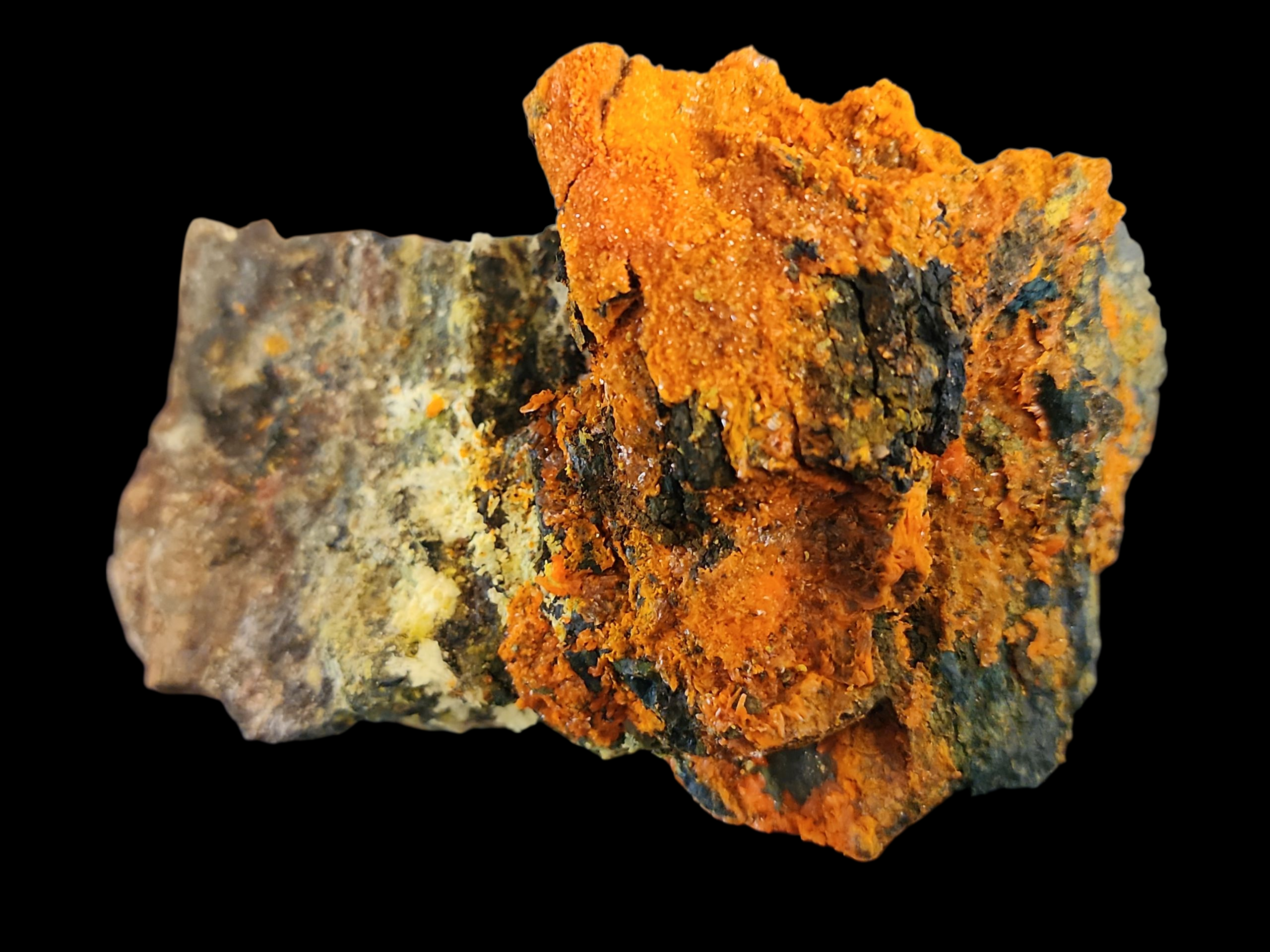🔥 1.3 Million CPM Multitude of Minerals RARE Premium Colorado Specimen!