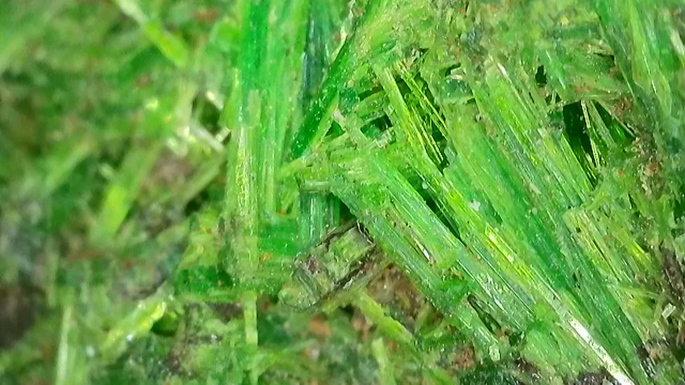 Thumbnail: 675k Well-Crystallized Cuprosklodowskite from Musonoi Mine
