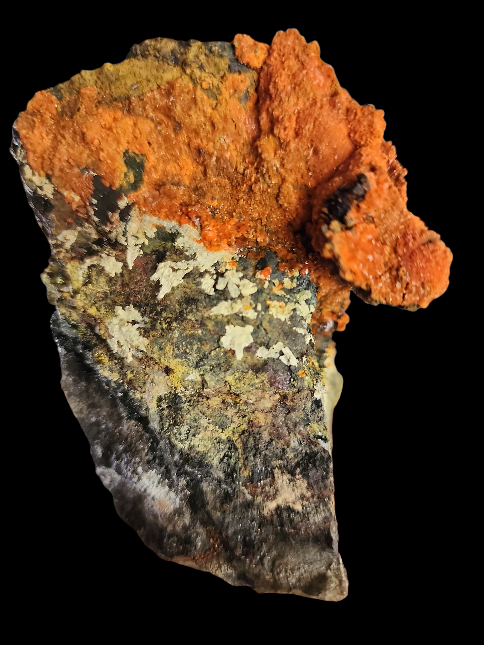 Thumbnail: 🔥 1.3 Million CPM Multitude of Minerals RARE Premium Colorado Specimen!