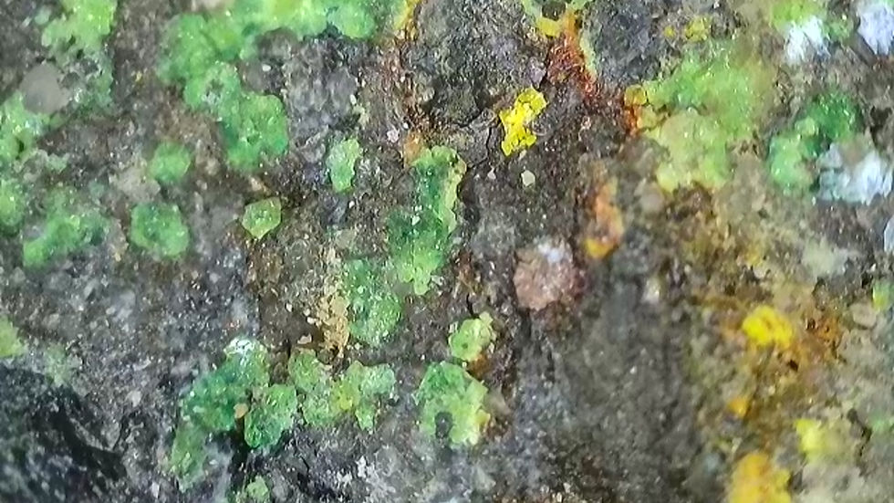 Thumbnail: 🔥 1.3 Million CPM Multitude of Minerals RARE Premium Colorado Specimen!