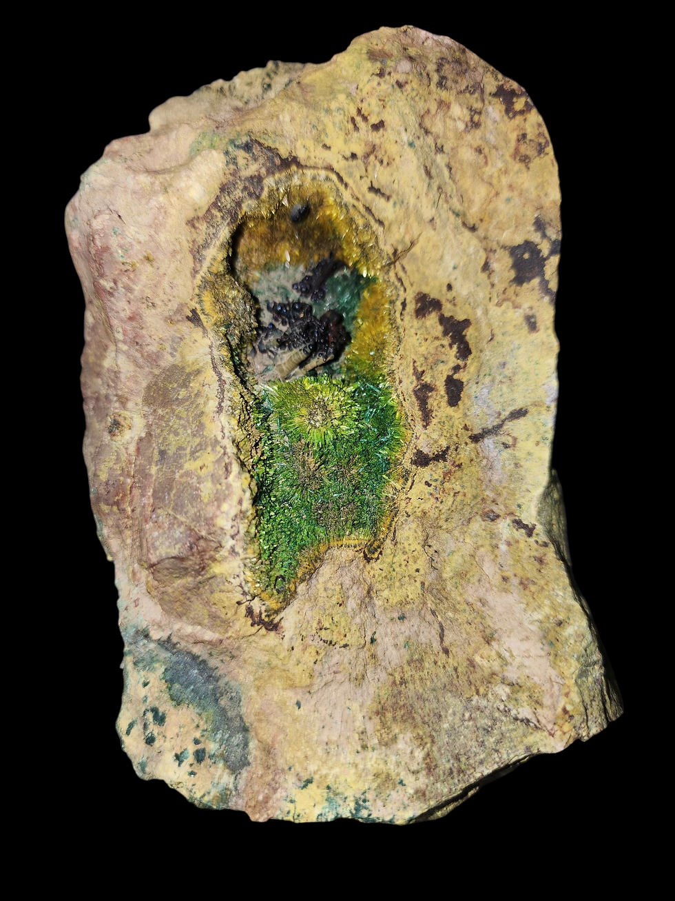 Thumbnail: 🔥 1.75Mil. Cuprosklodowskite, Sklodowskite, Uranophane, Malachite, Heterogenite