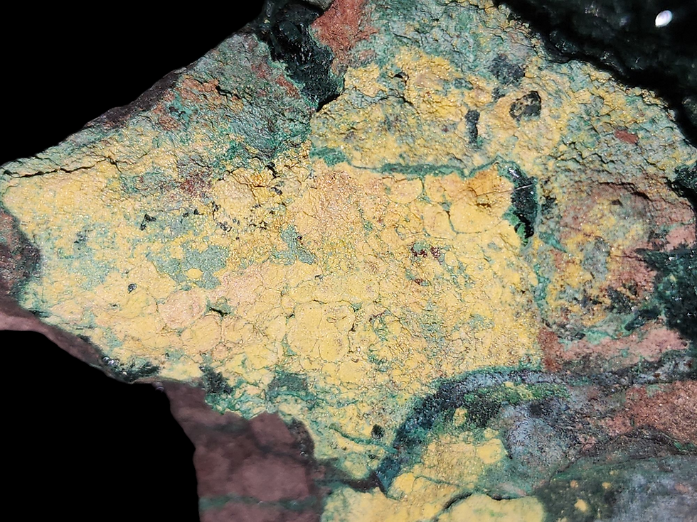 Thumbnail: 500,000 cpm Large Vandenbrandeite, Cuprosklodowskite, Kasolite from Musonoi Mine
