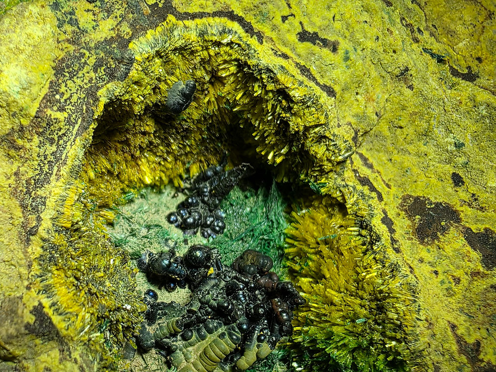 Thumbnail: 🔥 1.75Mil. Cuprosklodowskite, Sklodowskite, Uranophane, Malachite, Heterogenite