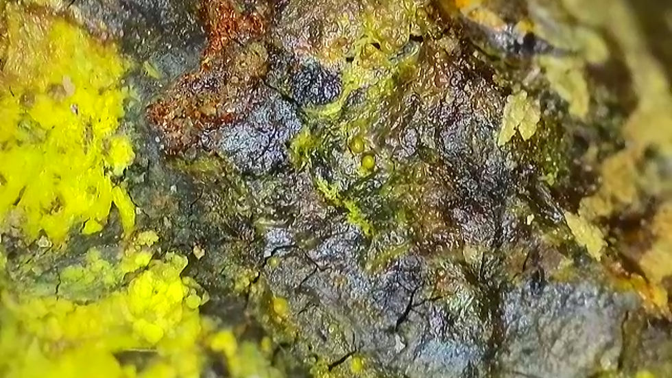 Thumbnail: 🔥 1.3 Million CPM Multitude of Minerals RARE Premium Colorado Specimen!