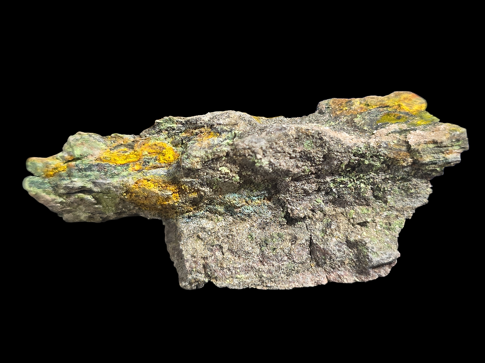 Thumbnail: Anderosnite and Zippeite on Petrified Wood from Utah