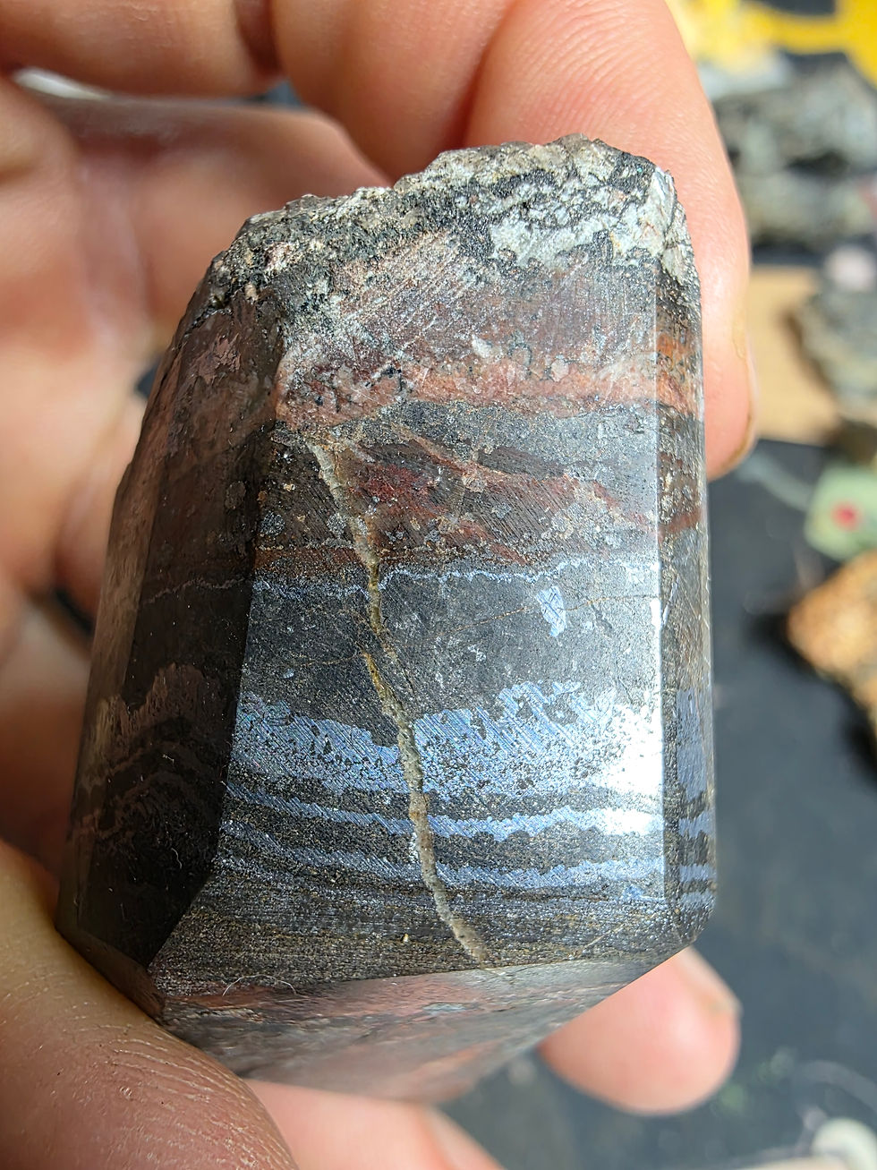 Thumbnail: Cut Pyrite with Botryoidal Uraninite and Calcite from Pribram, CZ 200kcpm