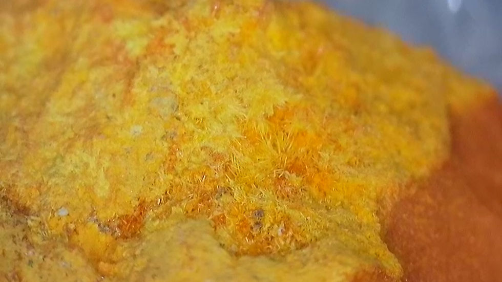 Thumbnail: 175kcpm Shinkolobwe Curite with Nice Crystallized Portion