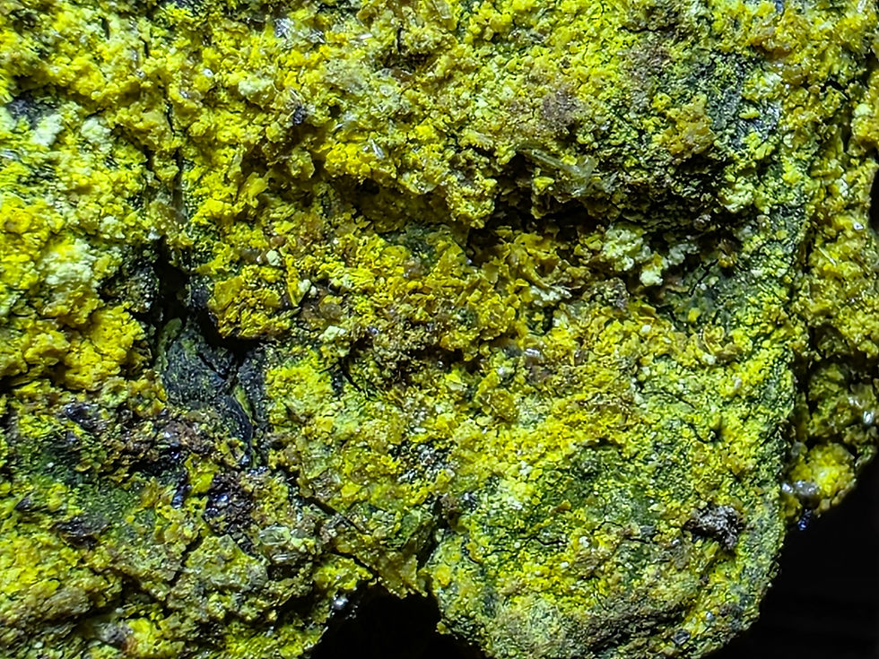 Thumbnail: Vibrant Yellow Carnotite on Uraninite from Colorado 175,000