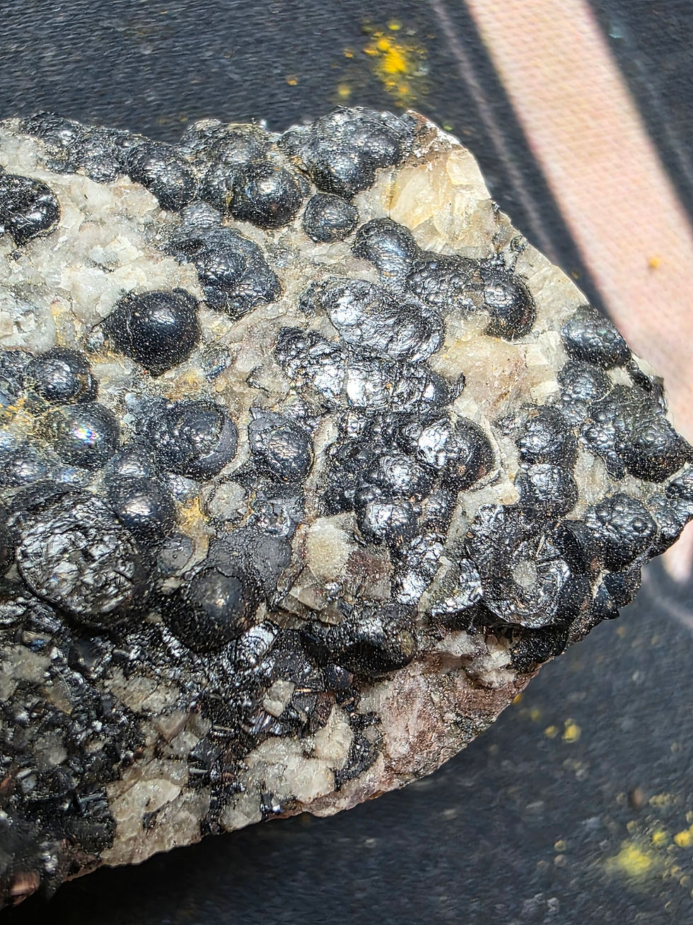 Thumbnail: 9.3 cm Long Botryoidal Uraninite 600kcpm