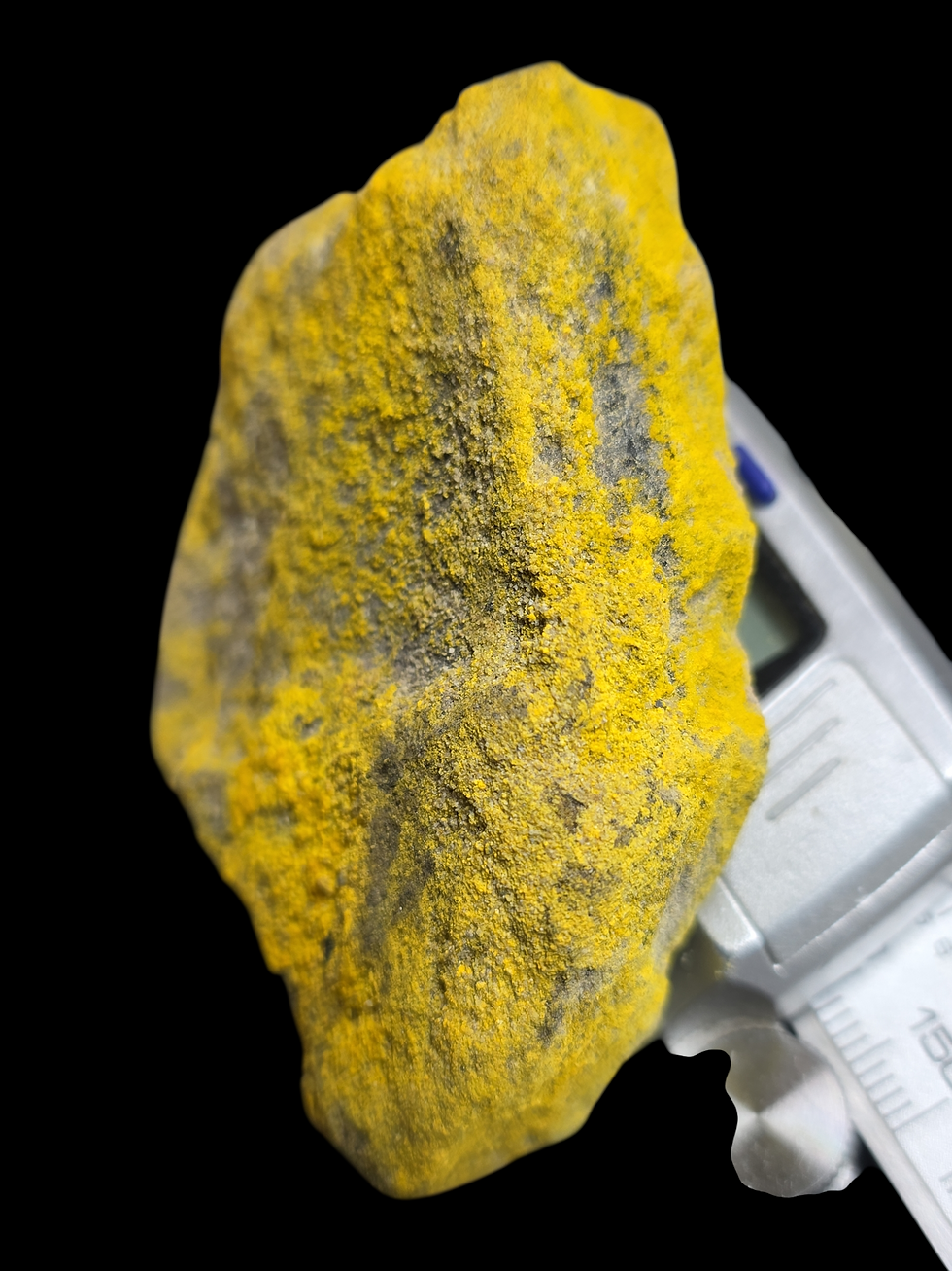 Thumbnail: Rich Yellow Schoepite on UV Uranopilite on Sandstone with Minor Uraninite