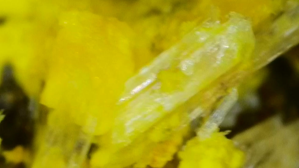 Thumbnail: 🔥 1.2 Million Mi Vida Mine Gorgeous Uraninite with Bright Yellow UV Crystals