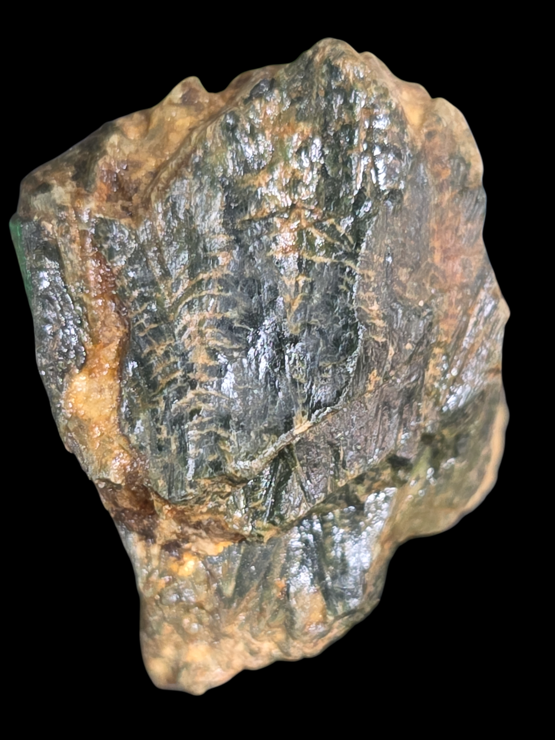 Large +20 Gram Crystal Thorite from Myanmar