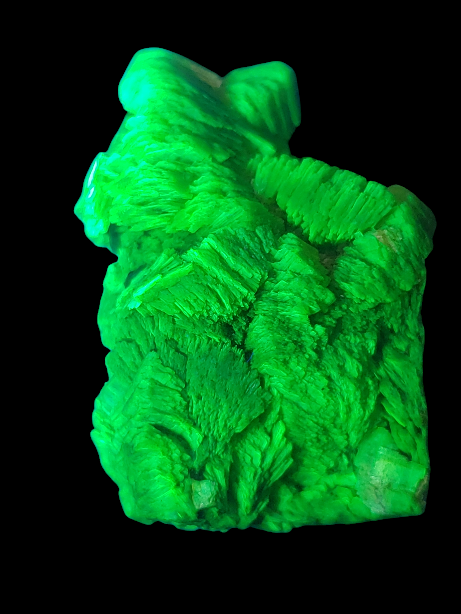 21.87 Gram of Lamellar Autunite 320,000 cpm