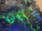 Thumbnail: Large MCPM Uraninite with UV Reactive Secondaries