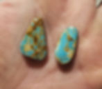 Thumbnail: Sidewinder Turqoise Rough Material from Rare Locality in Nevada Royston District