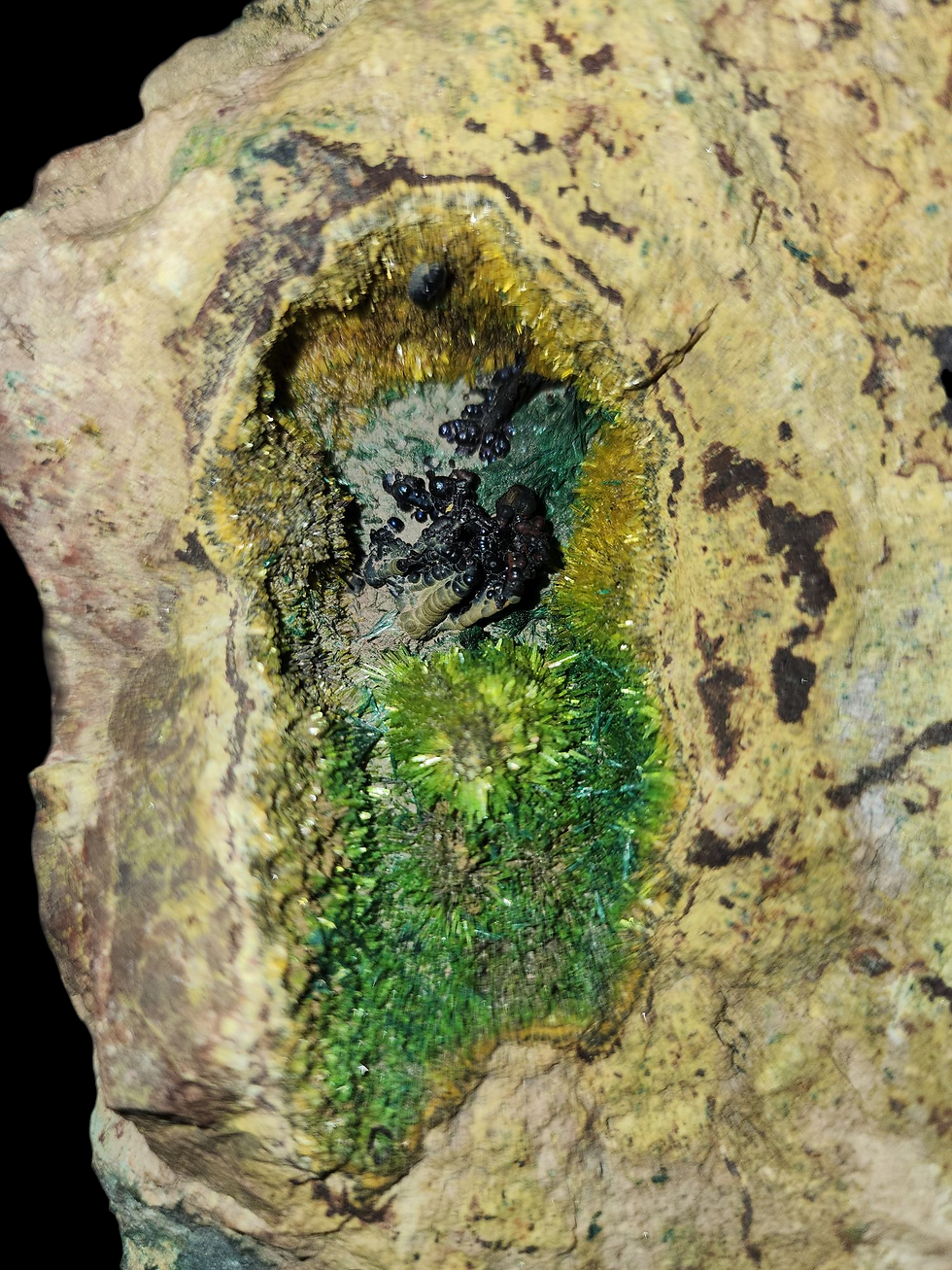Thumbnail: 🔥 1.75Mil. Cuprosklodowskite, Sklodowskite, Uranophane, Malachite, Heterogenite