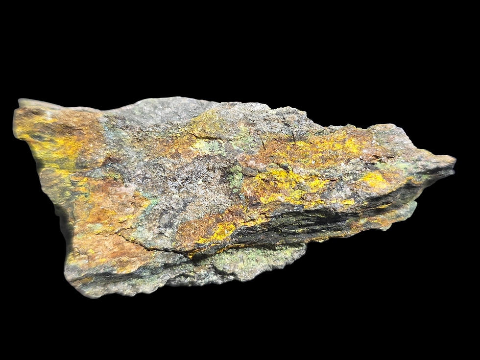 Thumbnail: Anderosnite and Zippeite on Petrified Wood from Utah