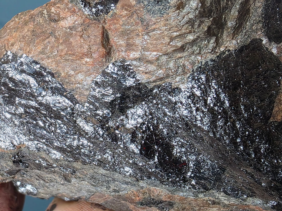 Thumbnail: Large Norweigan Euxenite with Allanite, Vintage Labels Included