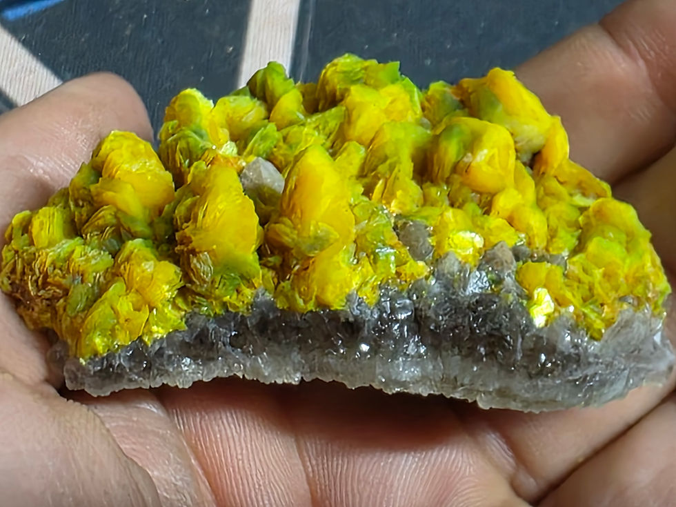 Thumbnail: Glorious Autunite Uranium Crystal Formation on Matrix