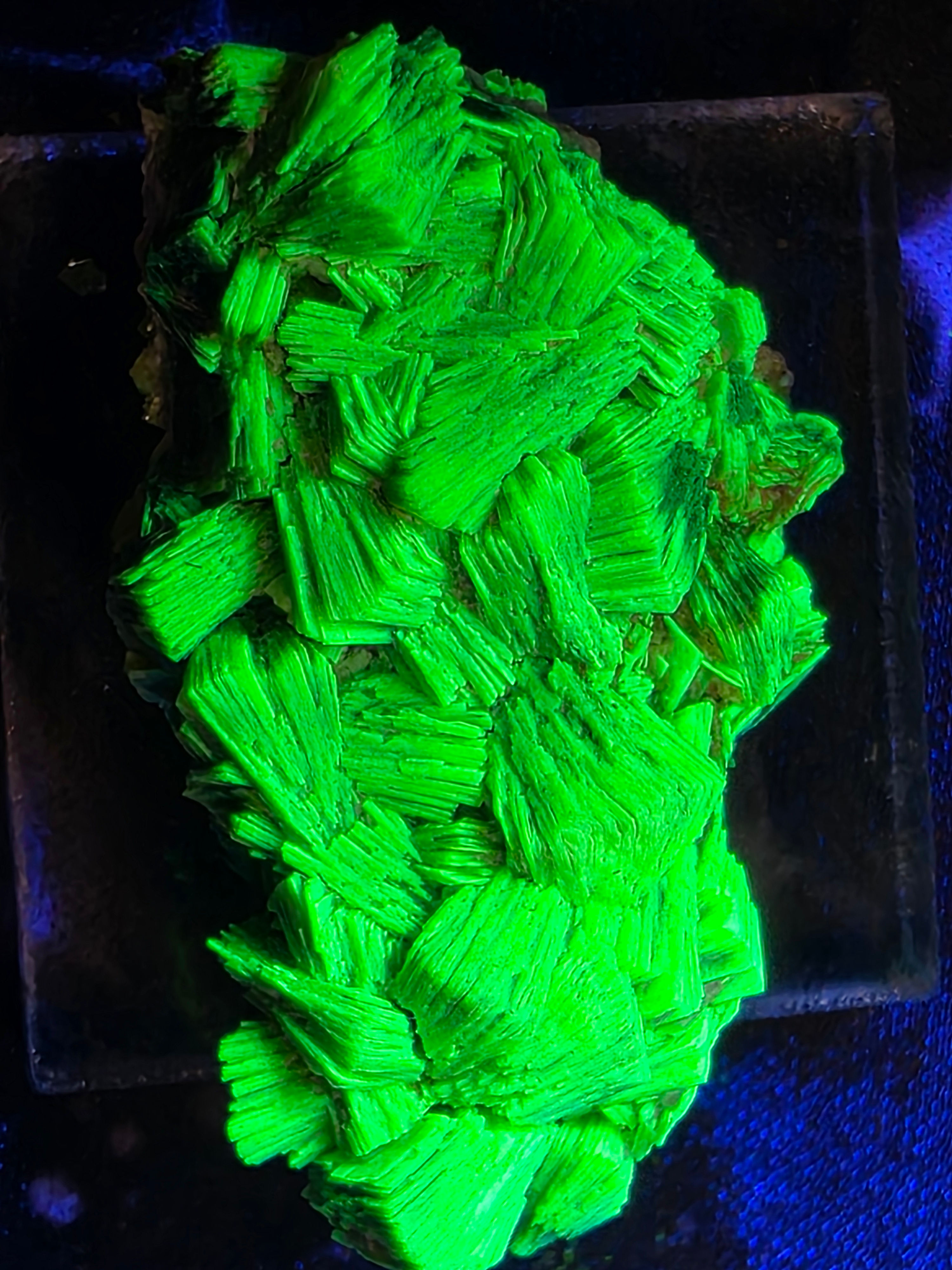 Large and Well-Preserved Vintage Daybreak Mine Autunite