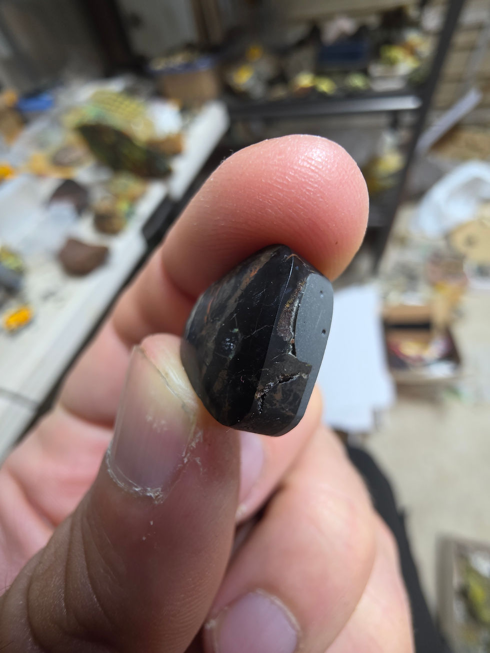 Thumbnail: Petrified Wood with Uranium in Cabachon Form (1950's Moab)