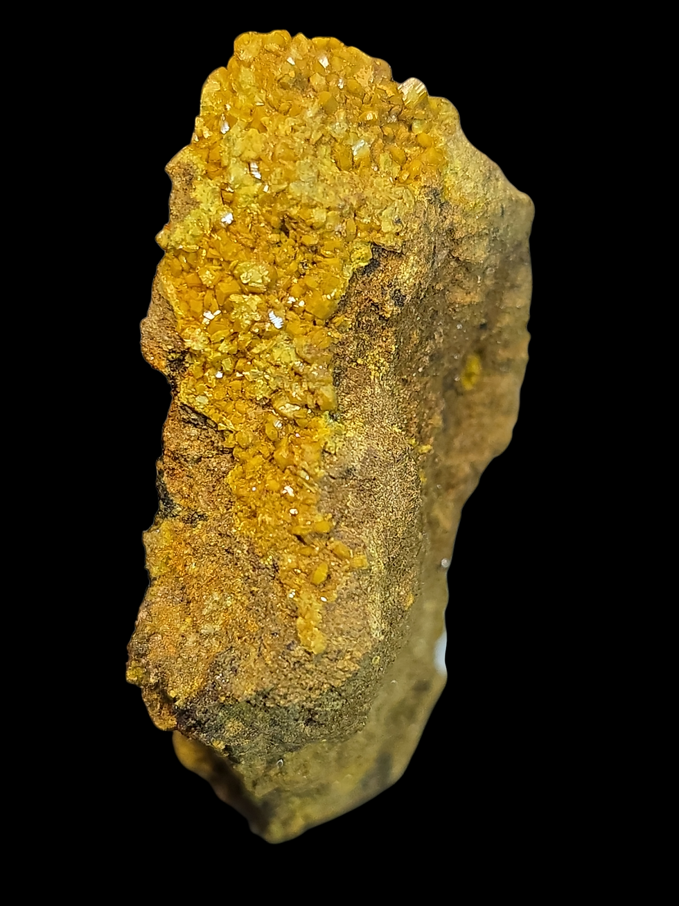 Thumbnail: Top Grade Soddyite Crystals with Curite and Uraninite from Shinkolobwe Mine