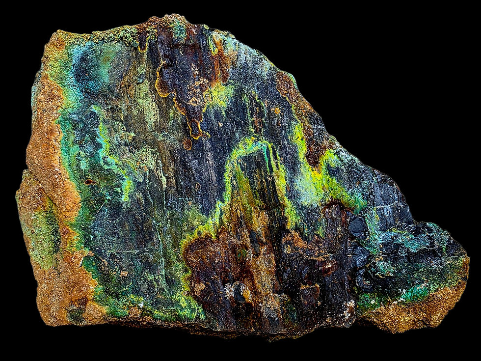 Thumbnail: Extraordinary and Huge Piece of Colorful Petrified Wood from Utah