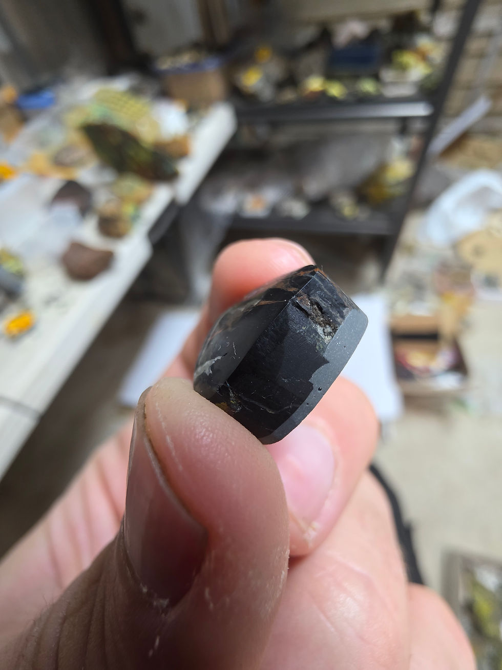 Thumbnail: Petrified Wood with Uranium in Cabachon Form (1950's Moab)