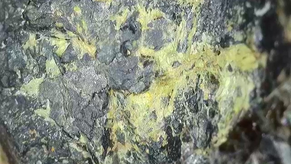 Thumbnail: Multitude of Uraninite Crystals in Matrix from Agder, Norway