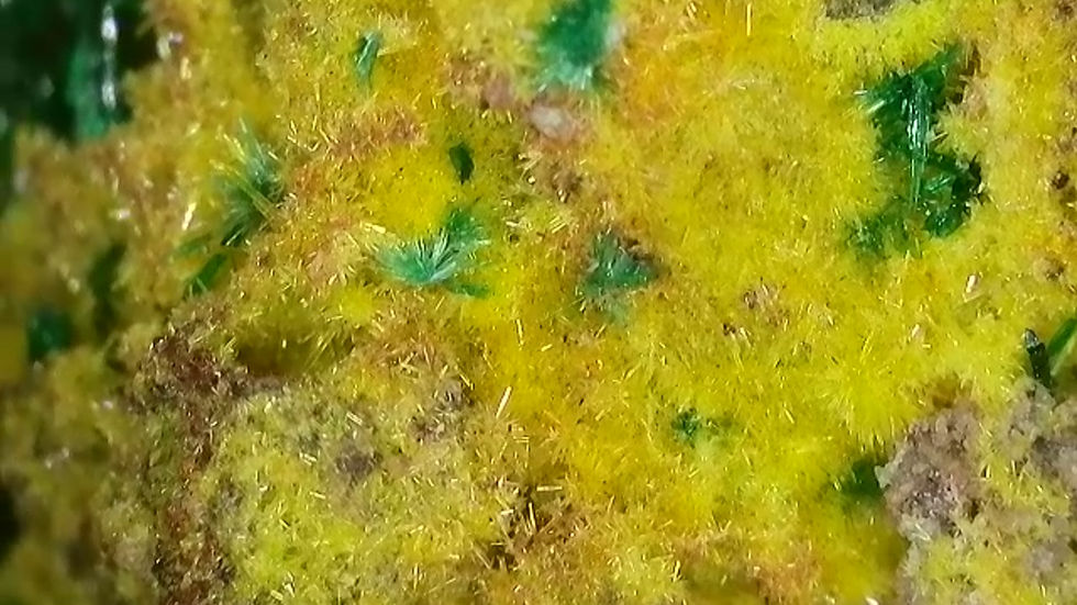 Thumbnail: 650k Uranophane, Cuprosklodowskite, Malachite from Musonoi Mine EX: Quinter