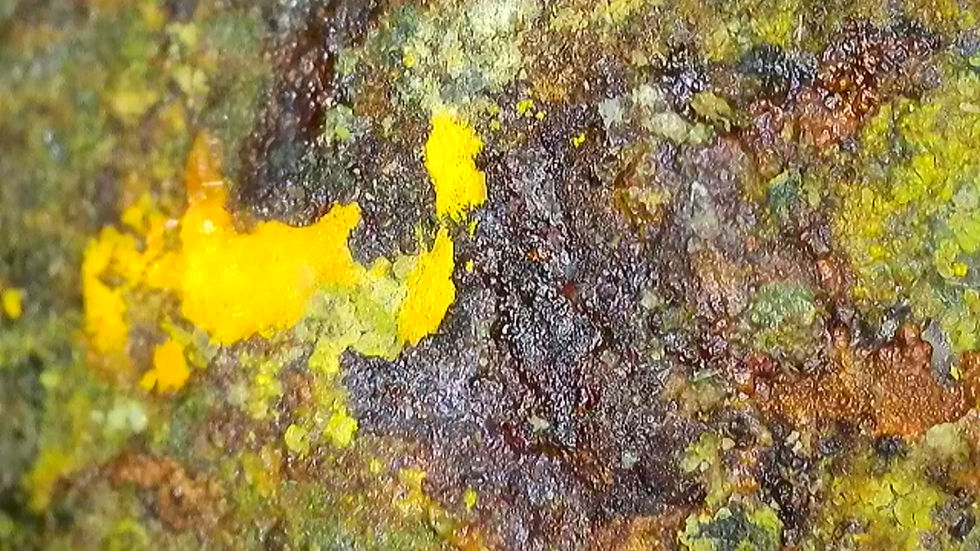 Thumbnail: 🔥 1.3 Million CPM Multitude of Minerals RARE Premium Colorado Specimen!