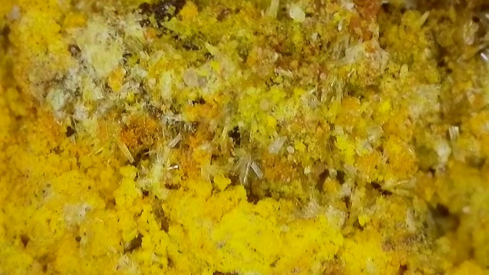 Thumbnail: Very Rich Mi Vida Uraninite + Natrozippeite with Uranopilite and Gypsum Crystals