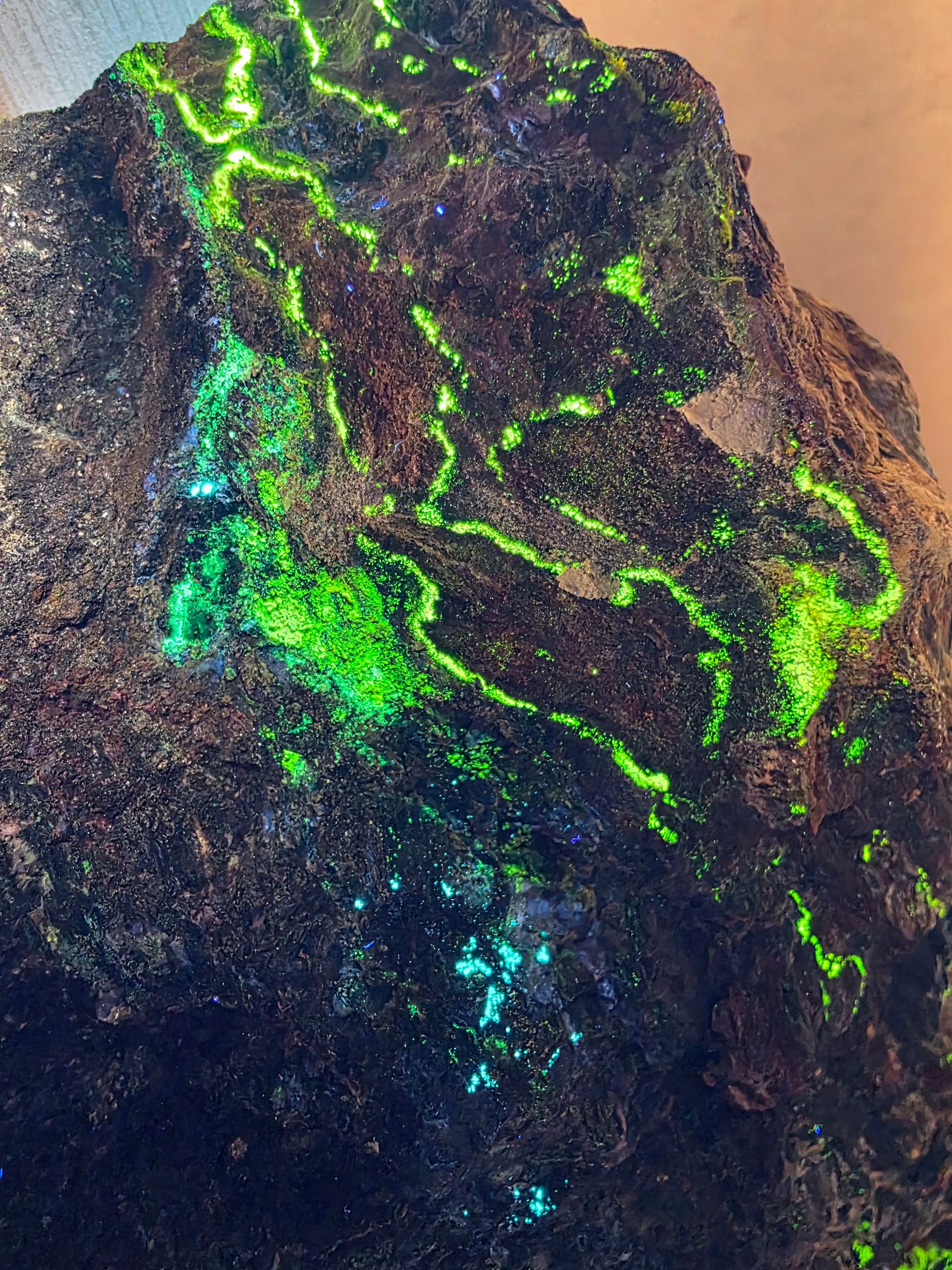 Large MCPM Uraninite with UV Reactive Secondaries