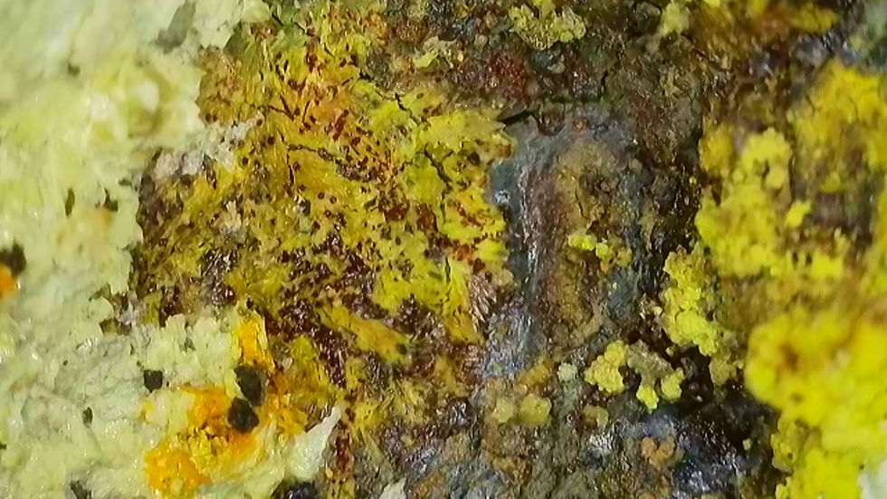 Thumbnail: 🔥 1.3 Million CPM Multitude of Minerals RARE Premium Colorado Specimen!
