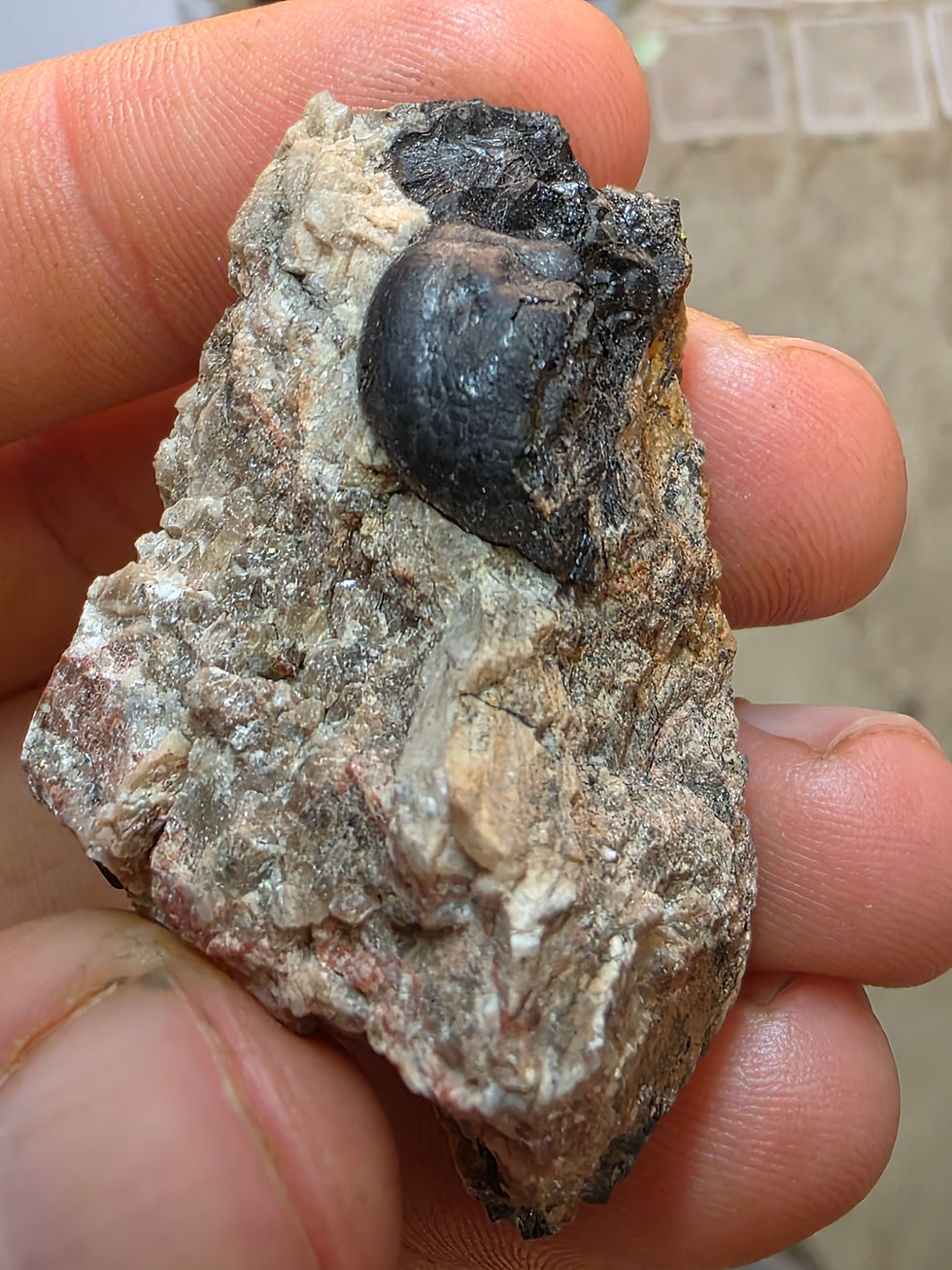 Thumbnail: Huge Uraninite Bubble from Czechia