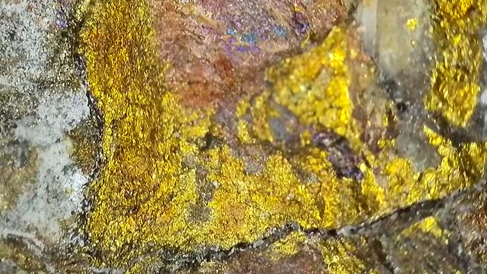 Thumbnail: Golden Chalcopyrite with Andersonite, Natrozippeite, and Pyrite from Utah