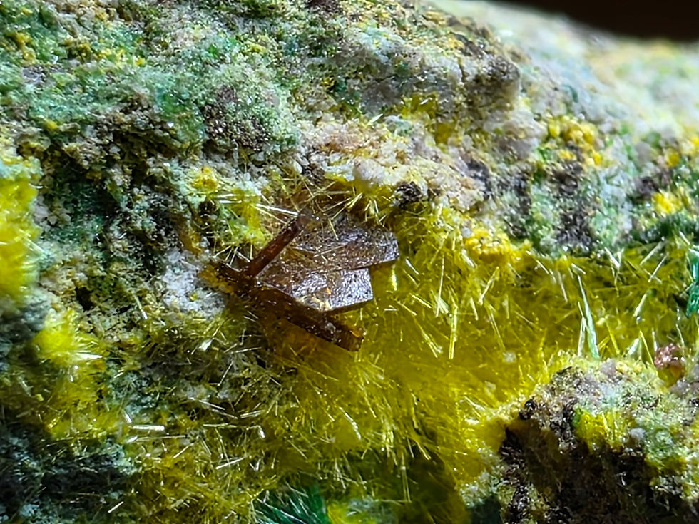 Thumbnail: Baryte Crystals Nestled in Uranophane with Cuprosklodowskite etc. Musonoi Mine