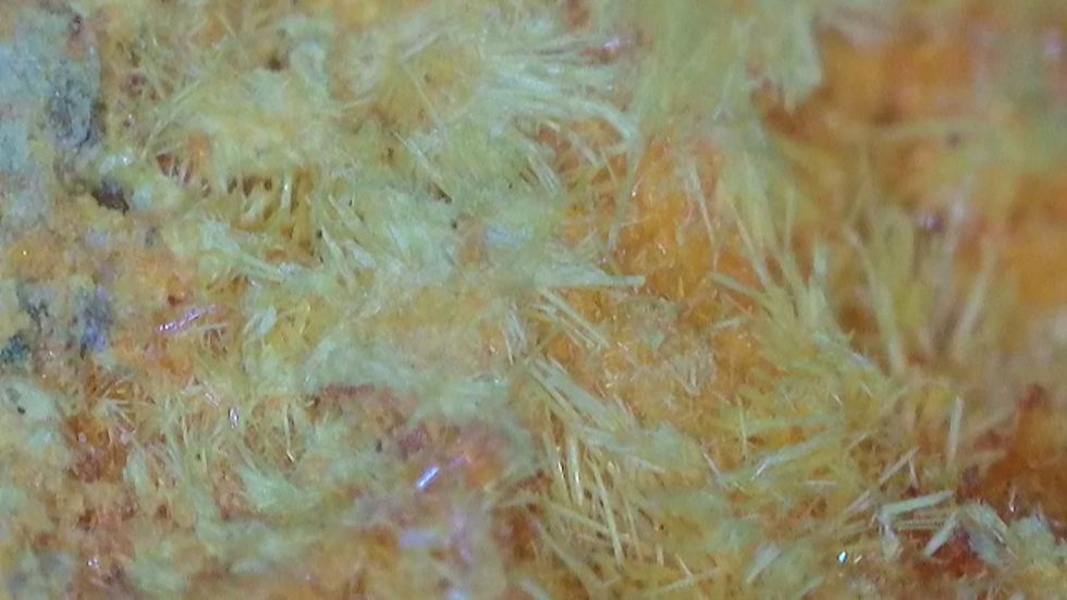 Thumbnail: 175kcpm Shinkolobwe Curite with Nice Crystallized Portion