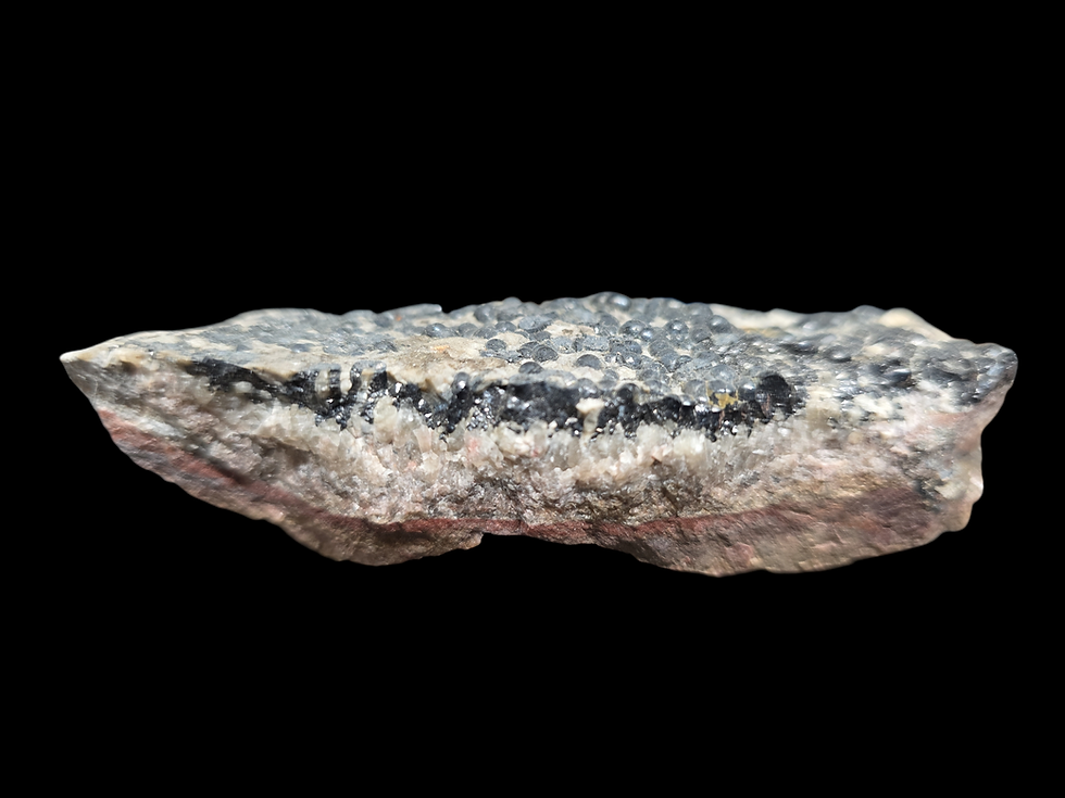 Thumbnail: 9.3 cm Long Botryoidal Uraninite 600kcpm