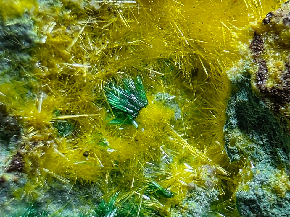 Thumbnail: Baryte Crystals Nestled in Uranophane with Cuprosklodowskite etc. Musonoi Mine