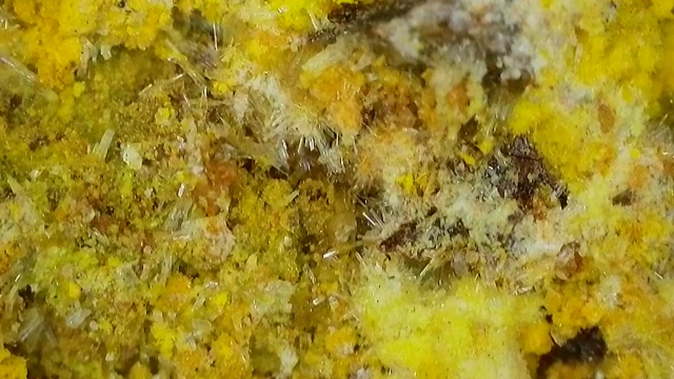 Thumbnail: Very Rich Mi Vida Uraninite + Natrozippeite with Uranopilite and Gypsum Crystals