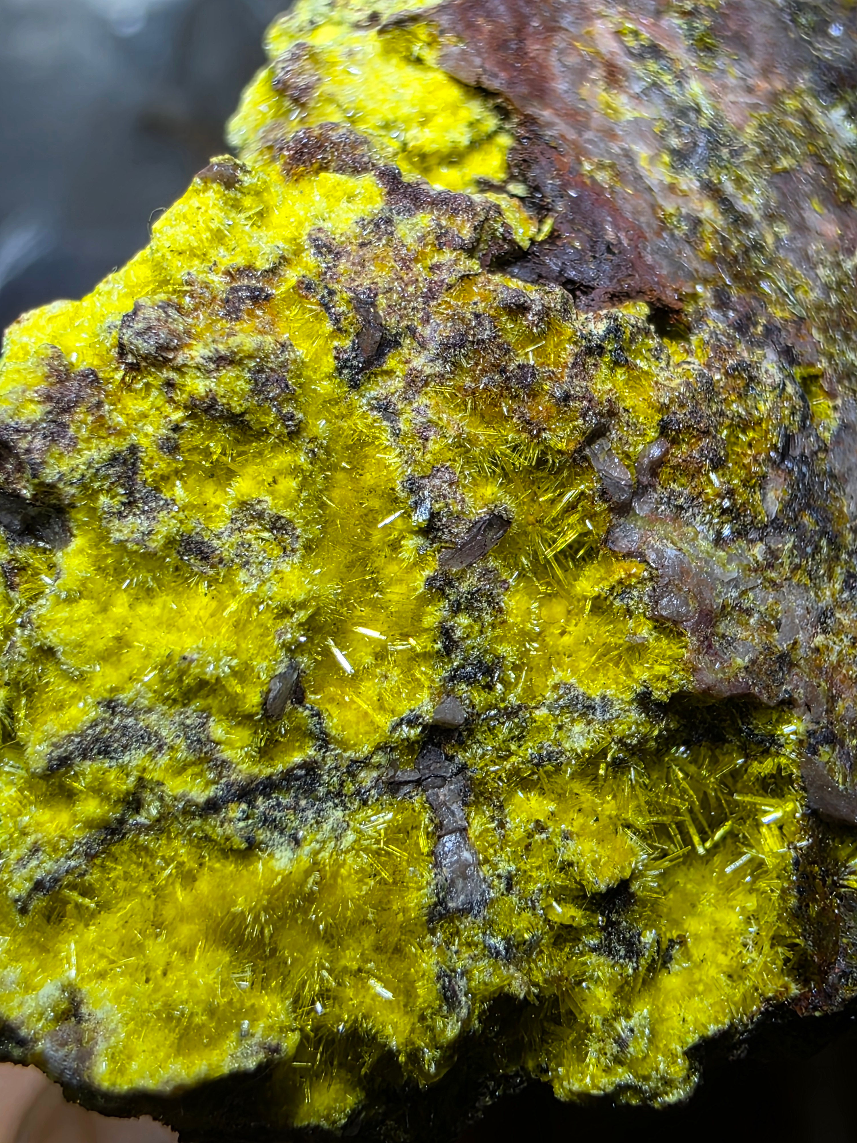 Uranophane, Cuprosklodowskite, Malachite, Digenite Musonoi Mine EX: Quinter