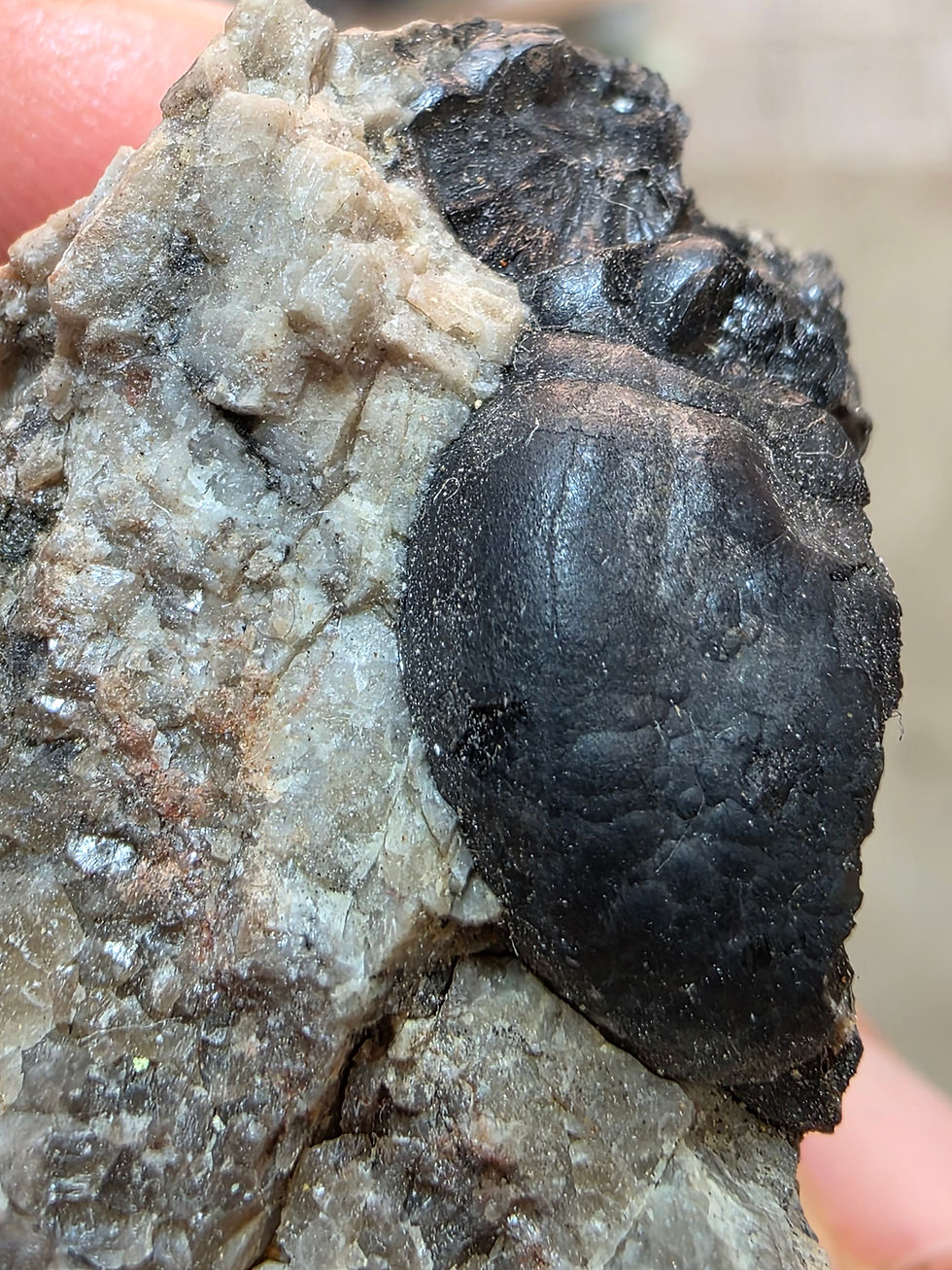 Thumbnail: Huge Uraninite Bubble from Czechia