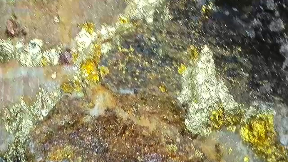 Thumbnail: Golden Chalcopyrite with Andersonite, Natrozippeite, and Pyrite from Utah