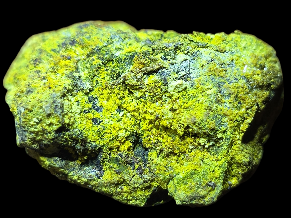 Thumbnail: Vibrant Yellow Carnotite on Uraninite from Colorado 175,000